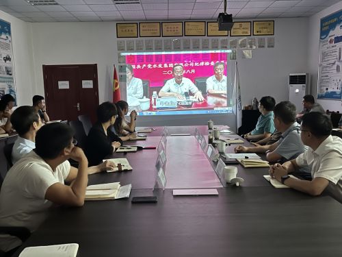【河海水文】水發(fā)水控集團黨委委員、紀委書記王高升到河海公司全面從嚴治黨、黨風(fēng)廉政建設(shè)專題調(diào)研 (1).jpg